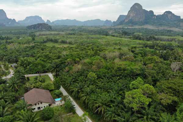 for sale - Family Home Close to Nature on Large 2.5 Rai Land Plot - Nong Thaley, Krabi