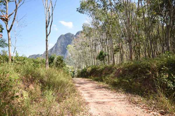 for sale - 4.4 Rai Scenic Land in Peaceful Area with Mountain Views - Khao Thong, Krabi