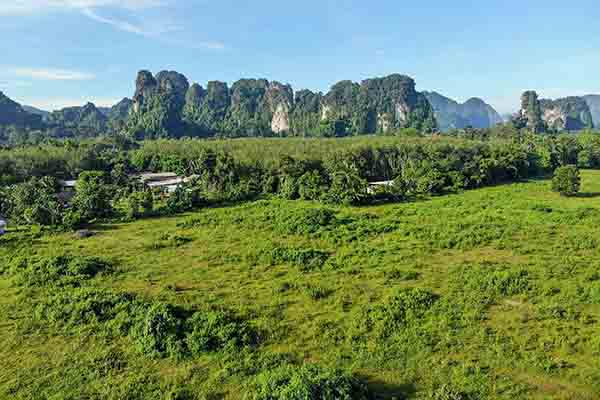 for sale - 20 Rai Land for sale close to main highway and large outlets - Krabi Town, Krabi