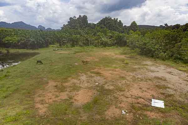 for sale - 1 Rai Land for Sale close to Krabi Town and Makro - Krabi Town, Krabi