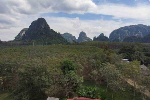 for sale - 1,181 sq.m land plot for sale surrounded by mountains - Chong Pli, Krabi