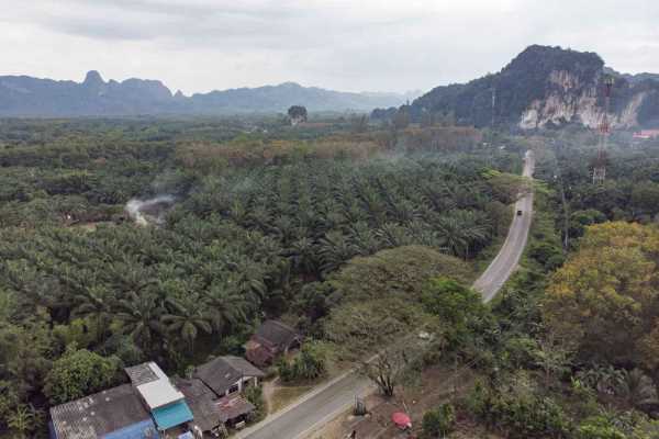 for sale - 2 Ngan - 50 Wah (1000 sq.m) Land for Sale close to Waterfall - Thap Prik, Krabi