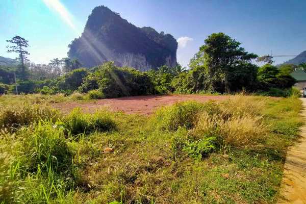 ขาย - ขายที่ดิน 1 งาน 20 วาทำเลเงียบสงบใกล้ภูเขา  - Chong Pli, Krabi