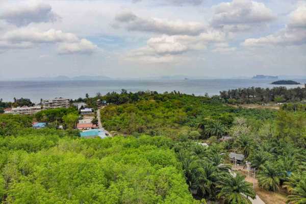 for sale - Over 8.5 Rai Sea-View Land at One of the Best Prices - Klong Muang, Krabi