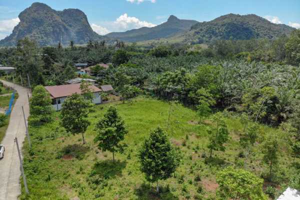 for sale - 1 Rai Land in Attractive Area, Ready to Build - Nong Thaley, Krabi