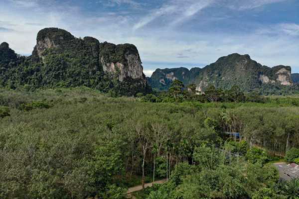 for sale - 6 Rai Mountain View Land for Sale at a Low Price	 - Nong Thaley, Krabi
