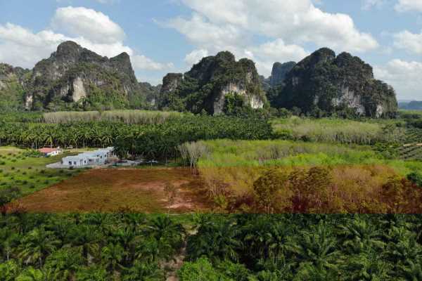 for sale - Plots up to 10 Rai for sale in Mountain View Area - Ao Nang, Krabi