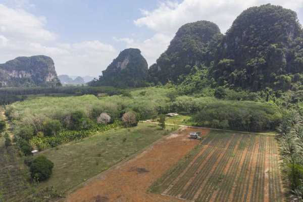 2 Rai 1 Ngan Land for Sale in Quiet, Scenic Area - Chong Pli, Krabi