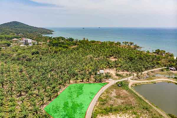 for sale - Over 2.5 Rai Land for Sale just 200m from Klong Muang Beach  - Klong Muang, Krabi