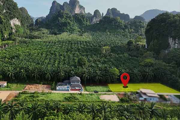 for sale - 4 Seperate Chanote Land Plots with 360-deg Mountain Views - Chong Pli, Krabi