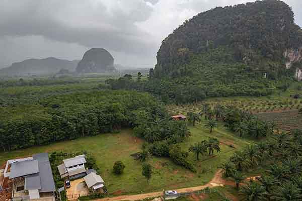 2 Rai Mountain View Land in Quiet Countryside Area - Nong Thaley, Krabi